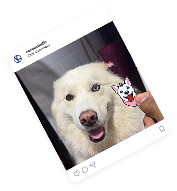 Mascota con sticker personalizado de Kora